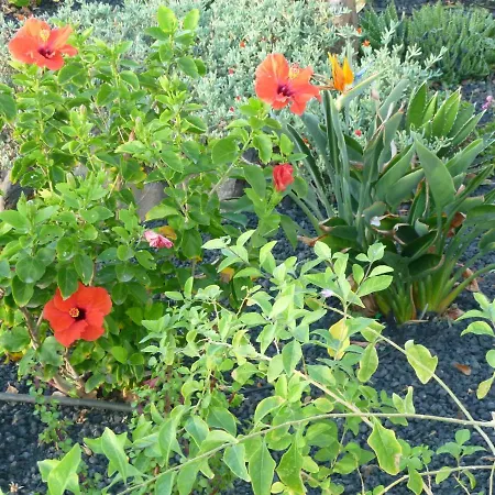 Costa Antigua Apartmán