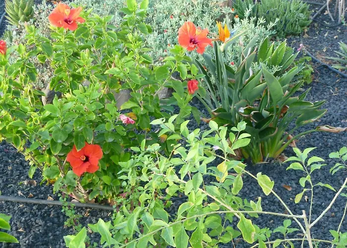 Costa Antigua Appartamento